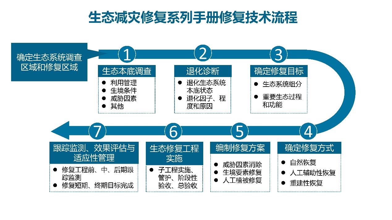 E:\业务工作-修复部\20240313 修改盐沼修复手册\20241105 手册发布新闻稿+照片\7.流程图.jpg